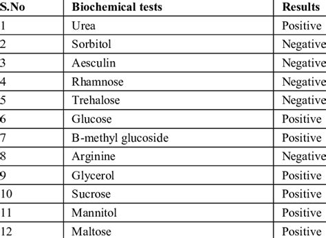 Biochemical Test of Bacillus cereus .